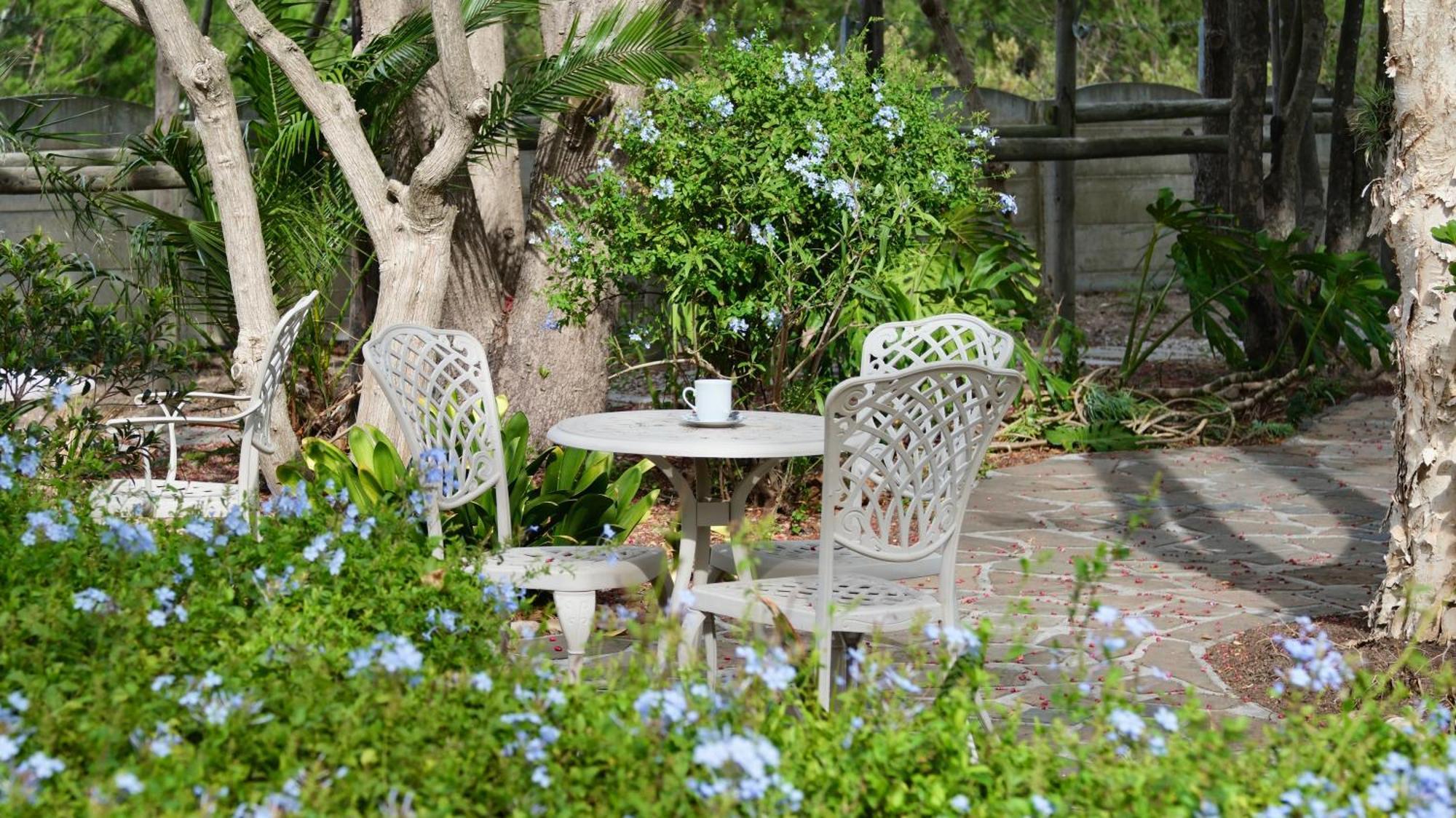 غرب سومرست Somer House Guest Suites المظهر الخارجي الصورة